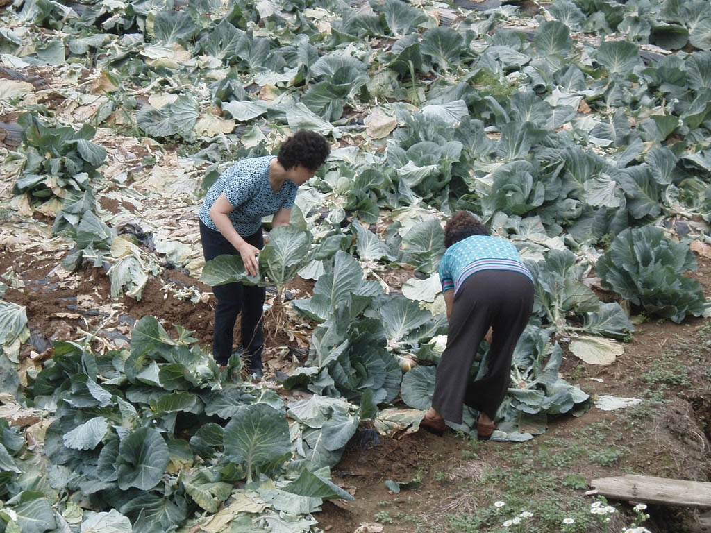 흑석교회 009.jpg